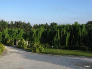 Janas Country