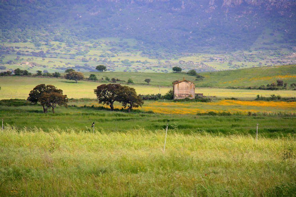 Janas Country 3*